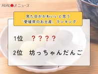 見た目がかわいいと思う「愛媛県のお土産」ランキング！ 2位「坊っちゃんだんご」を抑えた1位は？【2026年調査】
