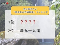 冬に行きたい「徳島県の穴場秘境」ランキング！ 2位「轟九十九滝」を抑えた1位は？【2026年調査】