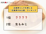 広島県らしさを感じる「広島県のお土産」ランキング！ 2位「生もみじ」を抑えた1位は？【2026年調査】