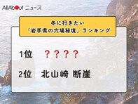冬に行きたい「岩手県の穴場秘境」ランキング！ 2位「北山崎 断崖」を抑えた1位は？【2026年調査】