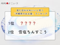 見た目がかわいいと思う「沖縄県のお土産」ランキング！ 2位「雪塩ちんすこう」を抑えた1位は？【2026年調査】