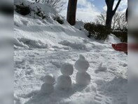 土屋太鳳、プライベート？ で能登訪問。“家族”ショットに「きっと小さい家族ちゃんは始めての経験かな」反響