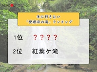 冬に行きたい「愛媛県の滝」ランキング！ 2位「紅葉ヶ滝」を抑えた1位は？【2026年調査】