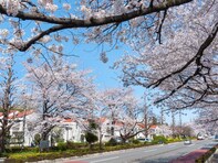 東京郊外で「治安がいいと思う市」ランキング！ 2位「国立市」、1位は？【専門家の解説も】