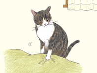 「幸せは、重さだ」 トイレを我慢してでも守りたい、ひざの上で眠る愛猫という“最高の不自由”