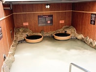 【東京都の人気銭湯・温泉】「天然温泉 湯どんぶり 栄湯」はサウナー注目の施設。新設のトレーラーサウナも魅力