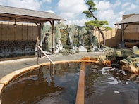 【千葉県の人気スーパー銭湯】「市原温泉 湯楽の里」は地下1500メートルから湧く温泉を楽しめる施設