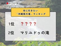 冬に行きたい「沖縄県の滝」ランキング！ 2位「マリユドゥの滝」を抑えた1位は？【2026年調査】