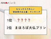 もらったらうれしい「奈良県のお土産」ランキング！ 2位「まほろば大仏プリン」、1位は？