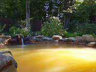 【埼玉県の人気スーパー銭湯】「杉戸天然温泉 雅楽の湯」は五感で楽しむ庭園露天風呂が魅力。濃厚な生源泉でリラックス