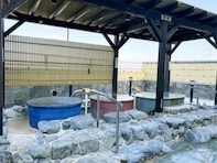 【大阪府の人気スーパー銭湯】「泉の湯」は種類豊富なお風呂が充実。開放感あふれる露天風呂でリラックス