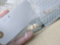 「殺った？」女性VTuber、「彼氏がいる…？」へのアンサーが話題に！ 「彼氏だったもの」「事件です」