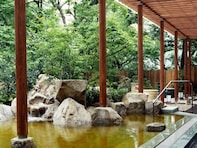 【東京都の人気日帰り温泉】「豊島園 庭の湯」は1200坪の日本庭園を楽しむ大人のための施設。天然温泉をゆっくりと満喫