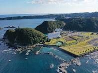 【楽天トラベル特別セール】「 太地温泉 花いろどりの宿 花游」が特別価格で登場中