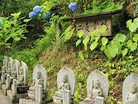 【埼玉県】「山の中にある露天風呂…」“薬湯”として親しまれてきた「小鹿野温泉大竜寺源泉」の魅力とは？