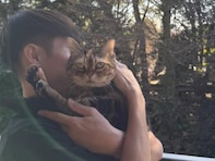「心から大好きだよ」窪田正孝、愛猫の死を報告「世界で1番自由な猫だったね」「会えて本当に幸せだった」