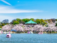 東京で行ってみたい＆好きな桜の名所ランキング！ 2位「上野恩賜公園」を抑えた1位は？【2026年調査】