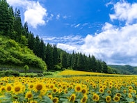 桃太郎電鉄で読むのが難しいと思う「福島県の物件駅」ランキング！ 2位「飯館」を抑えた1位は？【2026年調査】