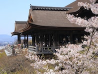 京都で行ってみたい＆好きな桜の名所ランキング！ 2位「清水寺」を抑えた1位は？【2026年調査】