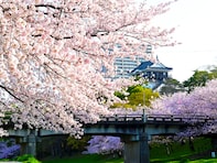 愛知で行ってみたい＆好きな桜の名所ランキング！ 2位「岡崎城公園」を抑えた1位は？【2026年調査】