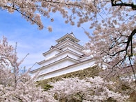 春に行きたいと思う「福島県の旅行先」ランキング！ 2位「会津若松市」を抑えた1位は？【2026年調査】