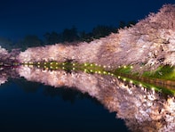 春に行きたいと思う「青森県の旅行先」ランキング！ 2位「弘前市」を抑えた1位は？【2026年調査】