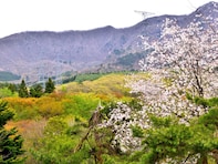 春に行きたいと思う「山形県の旅行先」ランキング！ 2位「蔵王連峰」を抑えた1位は？【2026年調査】