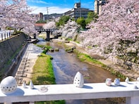 島根で行ってみたい＆好きな桜の名所ランキング！ 2位「玉造温泉」を抑えた1位は？【2026年調査】