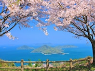 香川で行ってみたい＆好きな桜の名所ランキング！ 2位「紫雲出山山頂園地」を抑えた1位は？【2026年調査】