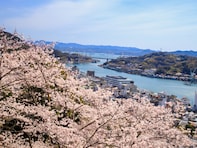 広島で行ってみたい＆好きな桜の名所ランキング！ 同率2位「千光寺公園」「平和記念公園」を抑えた1位は？