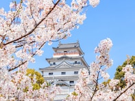 佐賀で行ってみたい＆好きな桜の名所ランキング！ 同率2位「御船山楽園」「唐津城」、1位は？【2026年調査】