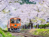春に行きたいと思う「青森県の公園」ランキング！ 2位「芦野公園」を抑えた1位は？【2026年調査】