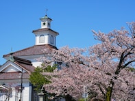 春に行きたいと思う「山形県の公園」ランキング！ 2位「鶴岡公園」を抑えた1位は？【2026年調査】