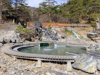 春に行きたいと思う「群馬県の公園」ランキング！ 2位「西の河原公園」を抑えた1位は？【2026年調査】