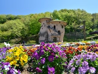 春に行きたいと思う「埼玉県の公園」ランキング！ 2位「トーベ・ヤンソンあけぼの子どもの森公園」を抑えた1位は？【2026年調査】