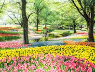 春に行きたいと思う「東京都の公園」ランキング！ 2位「国営昭和記念公園」を抑えた1位は？【2026年調査】