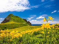 「ナンバープレートにしたい」と思う新潟県の地名ランキング！ 2位「佐渡市」を抑えた1位は？【2026年調査】