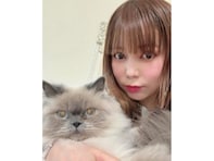 好きな「愛猫家の女性芸能人」ランキング！ 2位「中川翔子」、11票差の1位は？