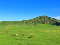 【20代限定】春に行きたいと思う「熊本県の旅行先」ランキング！2位「阿蘇」を抑えた1位は？【2026年調査】