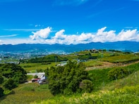 春に行きたいと思う「山梨県の旅行先」ランキング！ 2位「甲州市勝沼 ぶどうの丘」、1位は？【2026年調査】