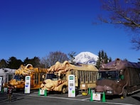 春に行きたいと思う「静岡県の旅行先」ランキング！ 2位「富士サファリパーク」を抑えた1位は？【2026年調査】