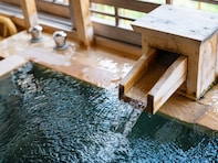 【埼玉県】秩父の自然に疲れがほぐれる。埼玉の穴場温泉地3選【小鹿野・柴原・和銅鉱泉】