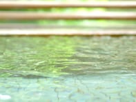 【岡山県の人気日帰り温泉】「湯郷鷺温泉館」は1200年の歴史を持つ元湯施設。バリエーション豊かなお湯でリラックス