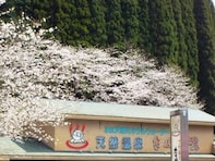 【鹿児島県の人気日帰り温泉】「花野温泉 たぬき湯」は森とせせらぎに囲まれた山間の施設。100％かけ流しの天然温泉でリラックス