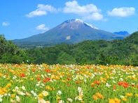 春に行きたいと思う「鳥取県の旅行先」ランキング！ 2位「とっとり花回廊」を抑えた1位は？【2026年調査】