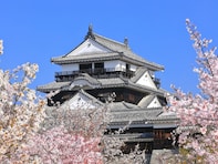 【男性限定】春に行きたいと思う「愛媛県の旅行先」ランキング！ 2位「松山城」を抑えた1位は？【2026年調査】