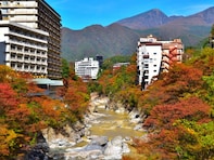 【栃木県】渓谷の絶景＆歴史の名湯を楽しめる。栃木の温泉地3選【鬼怒川・塩原・那須】