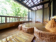 【奈良県の人気日帰り温泉】「入之波温泉 山鳩湯」は大自然の絶景と100％源泉かけ流しが自慢の施設。ケヤキの丸太風呂で濃厚な湯を堪能