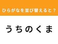 【アナグラムクイズ】「う ち の く ま」を並び替えると？ 1分以内で挑戦しよう