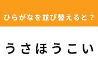 【アナグラムクイズ】解けると爽快！ 「う さ ほ う こ い」を並び替えると？ 1分以内で挑戦しよう
